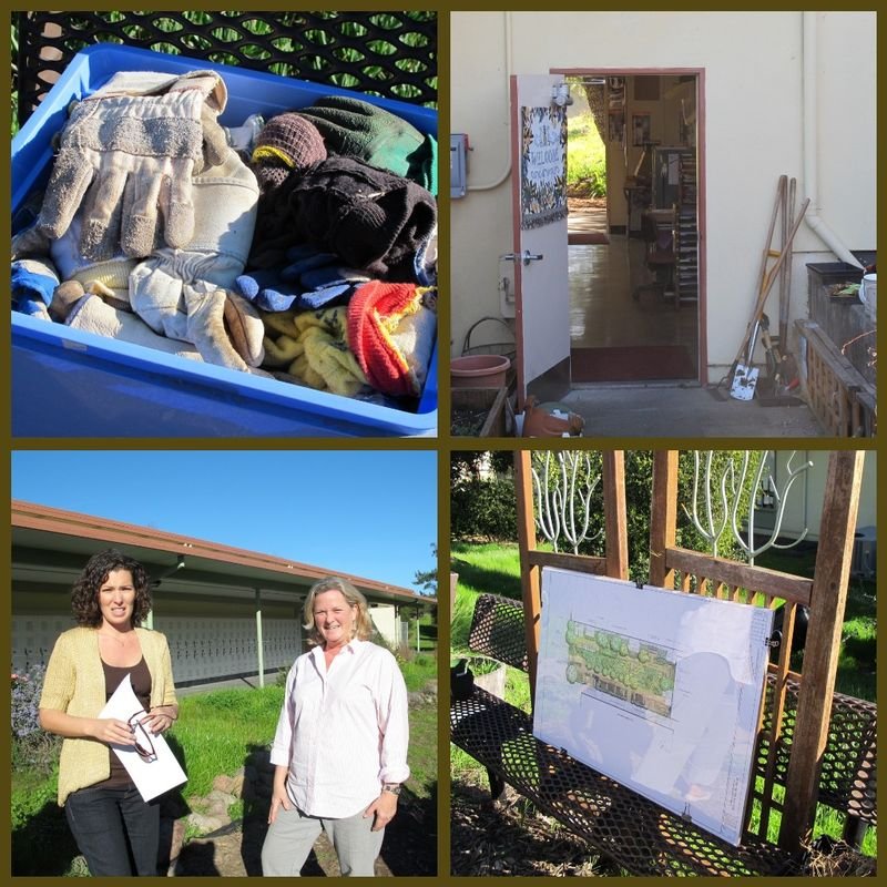 PJHS Garden Wonderland collage