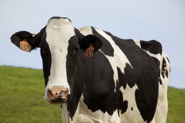 Farm_Tour_IMG_6483-M