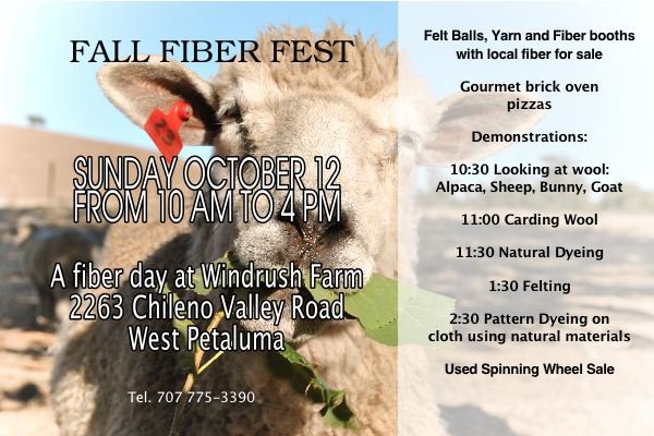 Third Annual Third Annual
