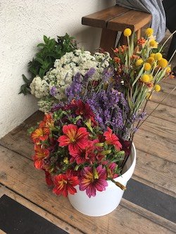 Celebrate Spring on Tomales Bay With a New Tuesday Afternoon Bayside Market & Pet Friendly Waterfront Oyster Bar at Nick's Cove