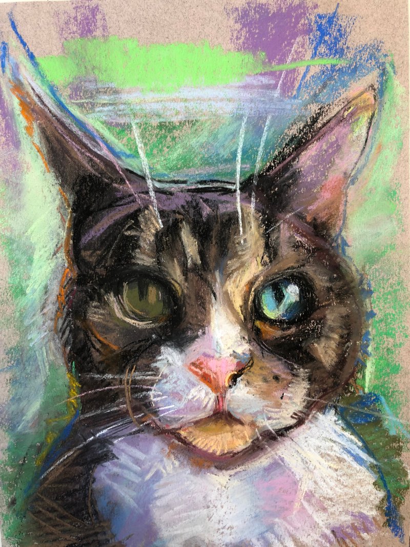 Lisa's-cat