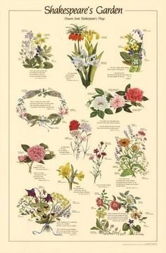 Bee2f8d3dfeb09f5cf443a56e56eab79