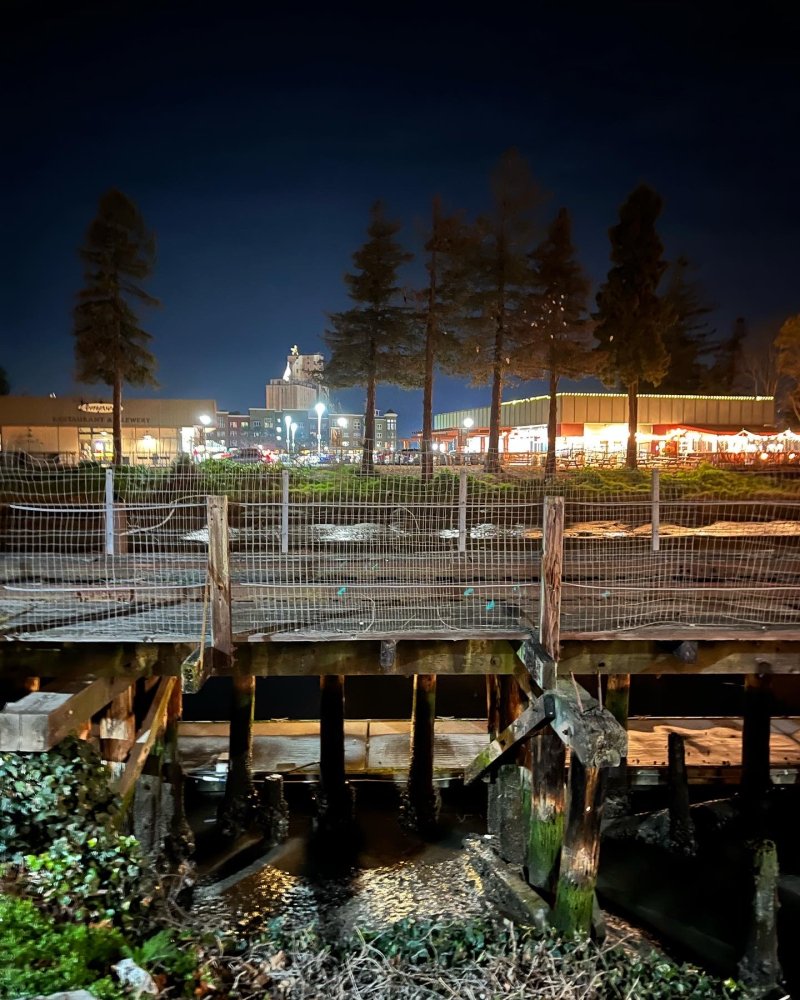 Trestle at Night Trestle at Night