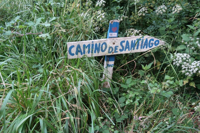 Camino 1