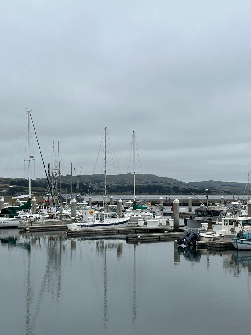 Harbor 