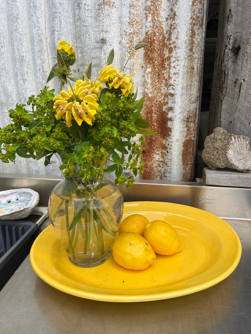 Lemons 