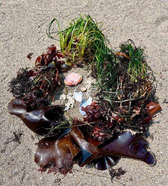 Seaweed wreath