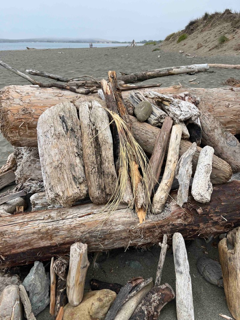 Doran Beach Driftwood