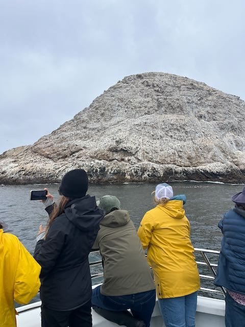 Farallones 2 Farallones 2