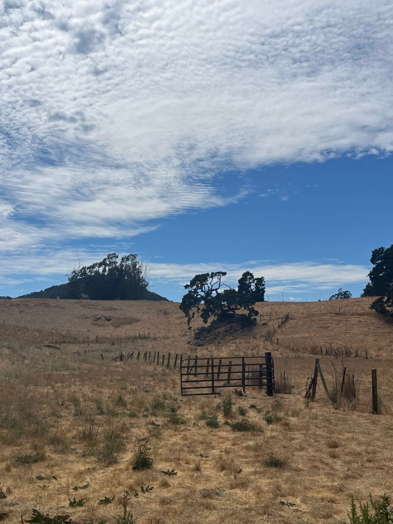 Sonoma County Ranchland